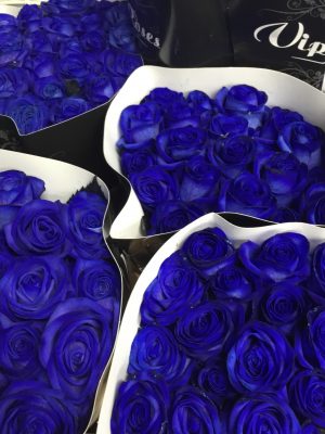 Dozen  Blue Rose Bouquet