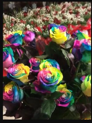 Dozen Dressed Rainbow Roses Bouquet