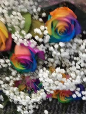 Dozen Rainbow Rose Bouquet